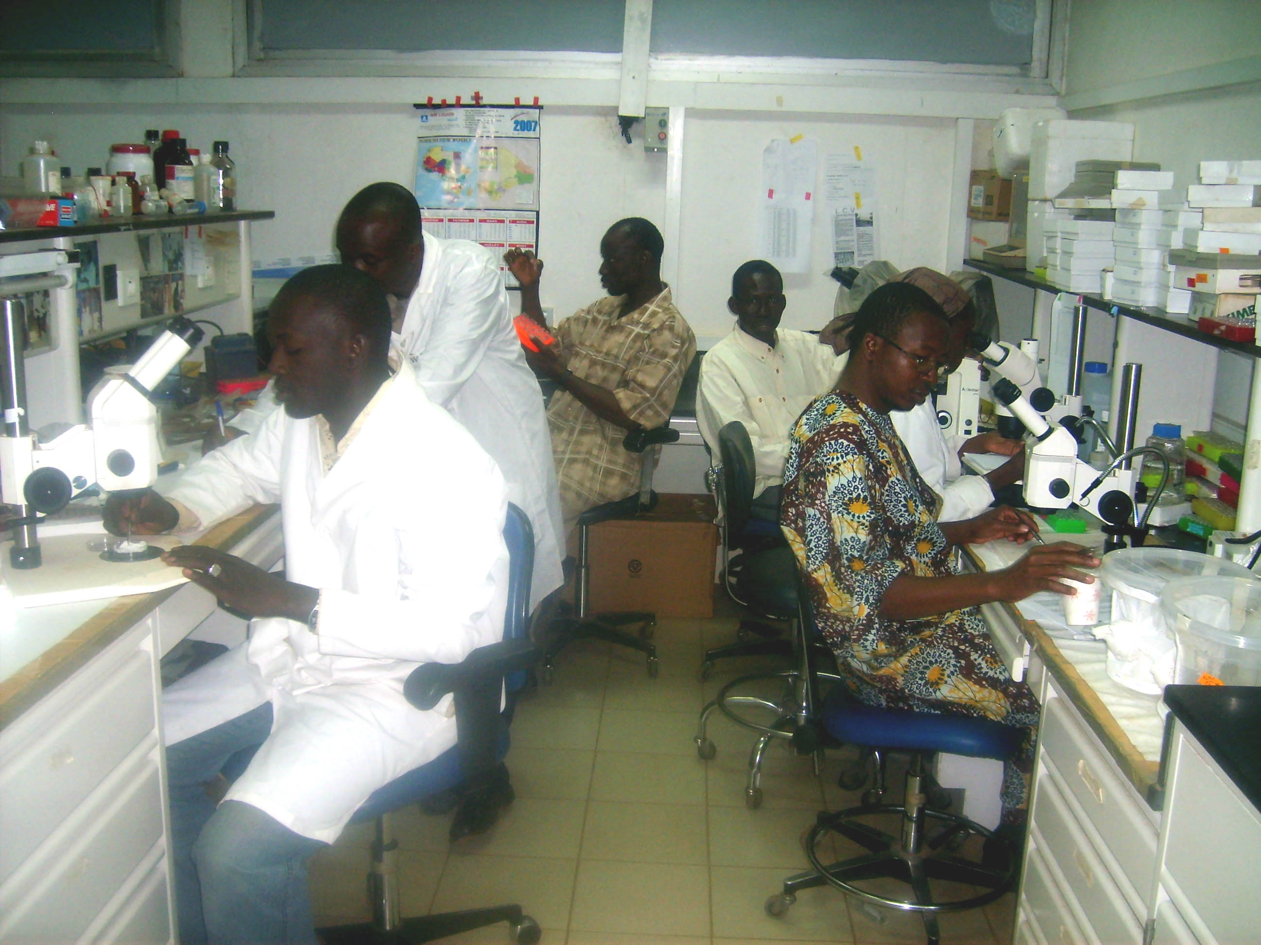 Full Team dissecting mosquitoes (Bamako 2005)